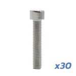 Vis de jante moteur Dualtron (non compatible avec le modèle Mini) – lot de 30 unités – Image 3