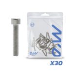 Vis de jante moteur Dualtron (non compatible avec le modèle Mini) – lot de 30 unités