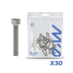 Vis de jante moteur Dualtron (non compatible avec le modèle Mini) – lot de 30 unités