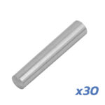 Goupille de charnière V1 Dualtron – lot de 30 unités – Image 2