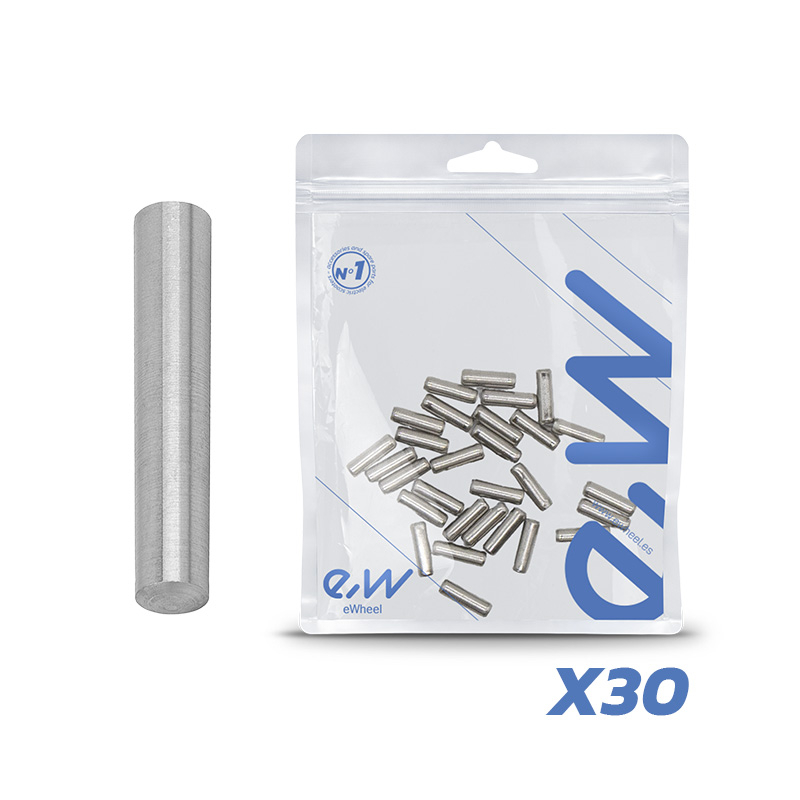 8435764432132_1_8000X800-1 Goupille de charnière V1 Dualtron – lot de 30 unités – Image 1