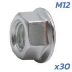 Écrous d’axe moteur Dualtron M12 – lot de 30 unités – Image 3